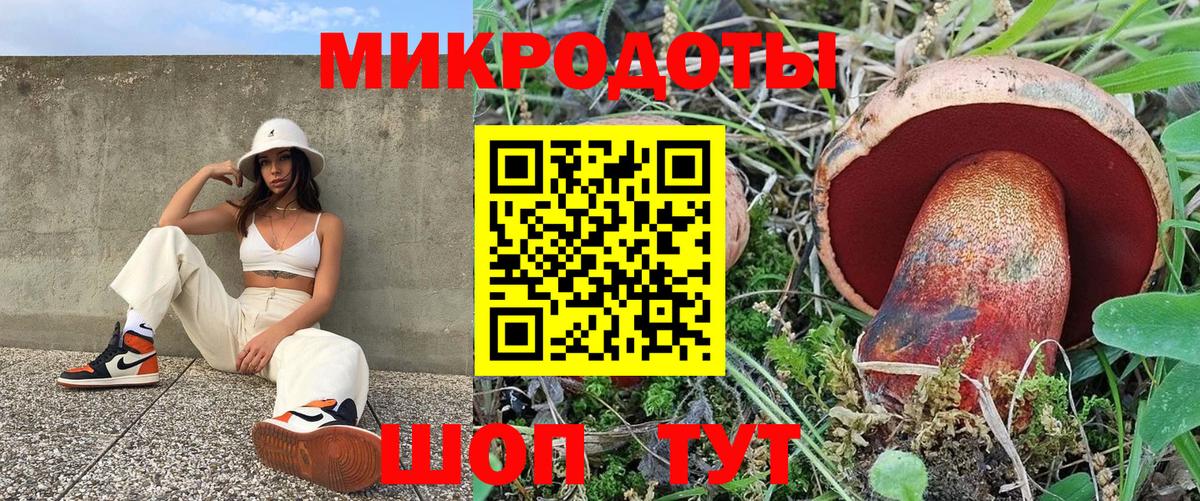 Псилоцибиновые грибы MAGIC MUSHROOMS Сегежа