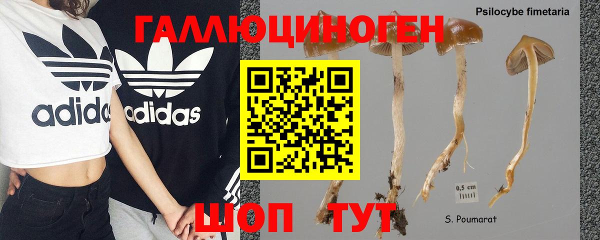 Галлюциногенные грибы MAGIC MUSHROOMS  Вход с VPN  Сегежа 